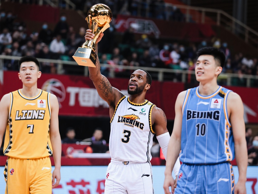 斯卡的组织 斯卡的组织